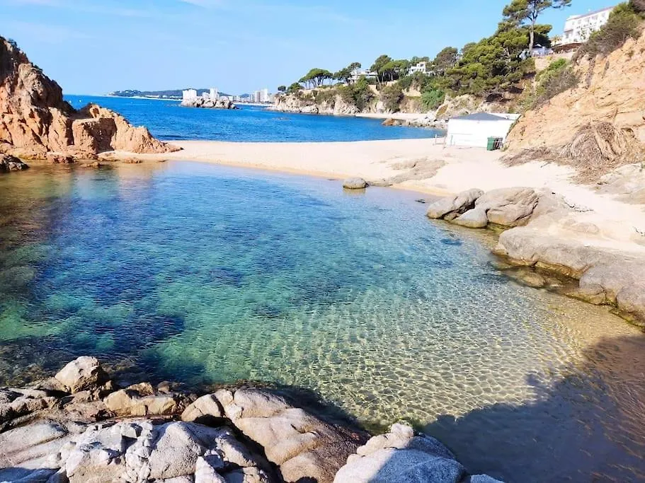Apartment Apartamento A 150M De La Playa Con Piscina Y Parking Sant Antoni De Calonge Spain